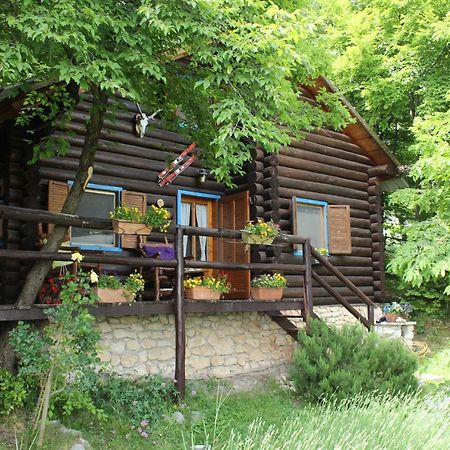 B&B Le Corone - Chalet Nel Bosco Cavalo Ngoại thất bức ảnh