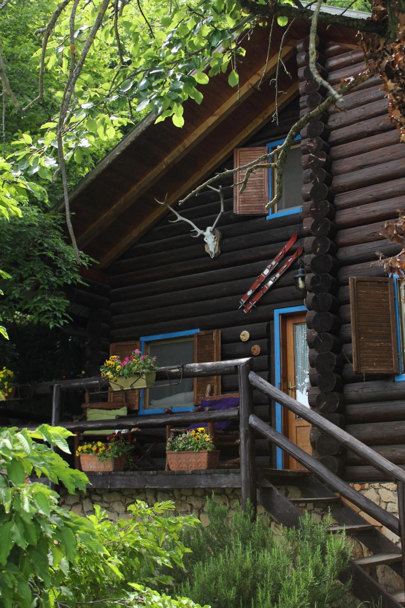 B&B Le Corone - Chalet Nel Bosco Cavalo Ngoại thất bức ảnh