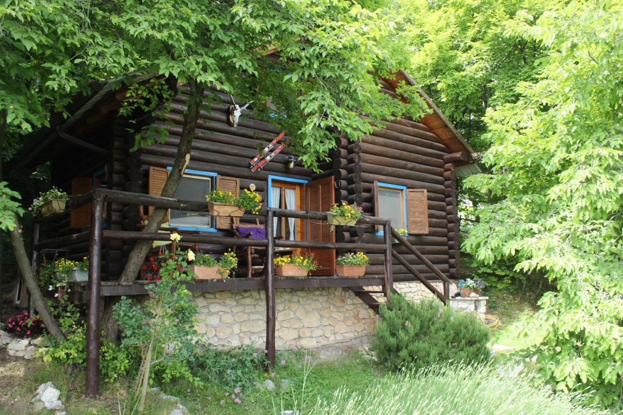 B&B Le Corone - Chalet Nel Bosco Cavalo Ngoại thất bức ảnh