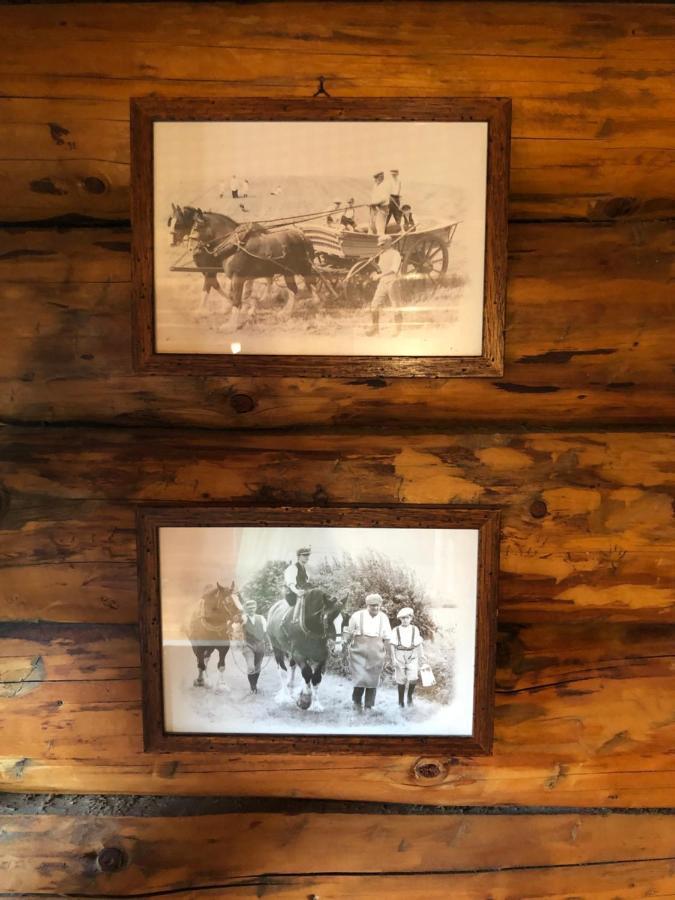 B&B Le Corone - Chalet Nel Bosco Cavalo Ngoại thất bức ảnh