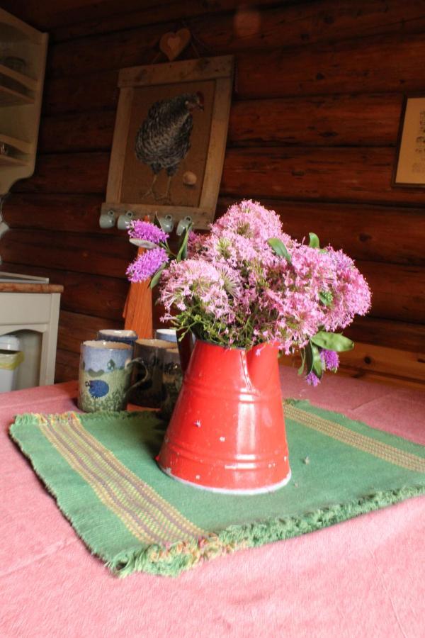 B&B Le Corone - Chalet Nel Bosco Cavalo Ngoại thất bức ảnh