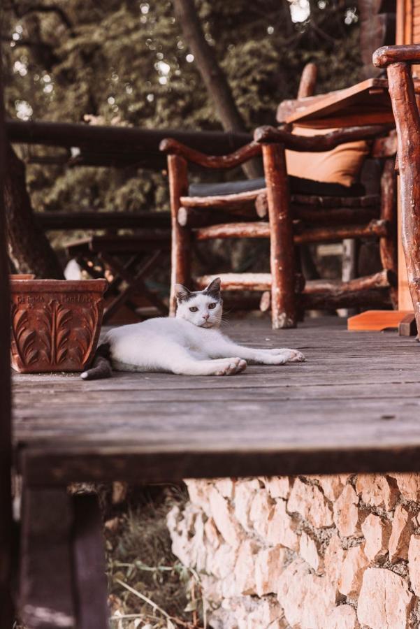 B&B Le Corone - Chalet Nel Bosco Cavalo Ngoại thất bức ảnh